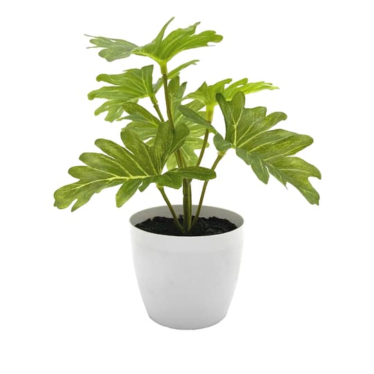 6&#x22; Potted Philodendron Plant by Ashland&#xAE;